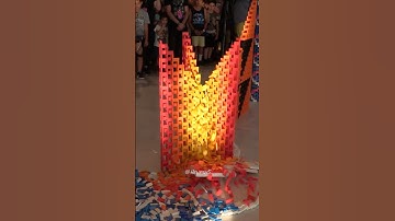 Increasingly Complex Domino Topples!