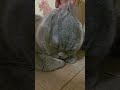 Нормально нормально😄😄😄😄🥰