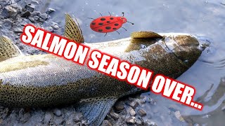 Salmon season over? Fun in small rivers with leftover salmon roe. by Ladybug Adventures 242 views 1 year ago 5 minutes, 59 seconds