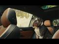 The Volkswagen Tiguan | The Dogs