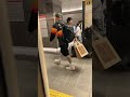 family night JR west Rail wey train Live