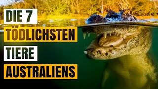 Die 7 tödlichsten Tiere Australiens