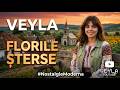 VEYLA - Inima la poartă (Bade, vino...) | Oficial Video 2026