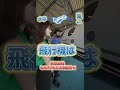 ヘリコプター社長直伝！この突起物は何？ プライベートジェット編