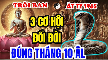 Xem Ngay Kẻo Muộn: 3 Cơ Hội Đổi Đời Cho Ất Tỵ 1965 Đúng Tháng 10 ÂL, Chỉ Ai Có Căn Lành Mới Thấy