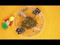 Middle of video
