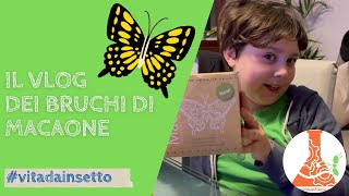 Il Vlog dei bruchetti di macaone @Esperimentificio