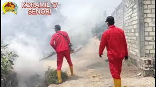 FOGING DI DESA RAYUNG KECAMATAN SENORI TUBAN