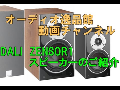 【けいちゃん】DALI ZENSOR1 DALI ZENSOR 1 をメンテナンスする - いつか消える文章