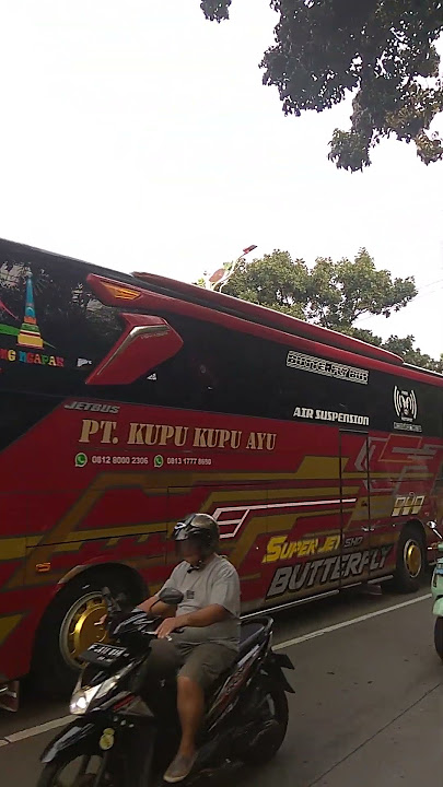 PO Kupu Kupu Ayu Ft Jetbus 3 SHD #shorts #busmania #kupukupuayu #jetbus 3 #adiputro #jetbus3shd