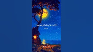 اسلام صبحي تلاوه هادئه ♥️🎧 #reels #اكسبلور #اسلام_صبحي #duet #راحة_نفسية #اسلام #لايك #حالات_واتس