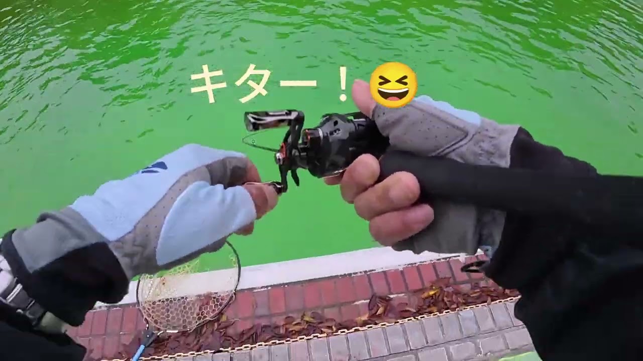 ティムコさんコラボカラーのラッキークラフトさんのクランク3種で多摩湖駅前フィッシングエリアさんのナイターを攻略できるのか？