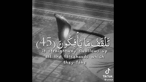 تلاوة جميله بصوت الشيخ عبدالله الموسى