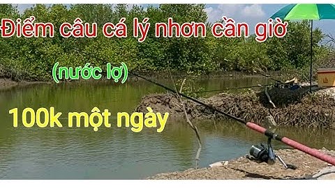 Câu cá cần giờ /đầm thiên nhiên 100k một ngày