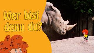 Ein Kobold Im Zoo Meister Eder Und Sein Pumuckl Clip