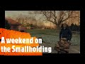A weekend on the smallholding | vlog week 3 | smallholding jobs