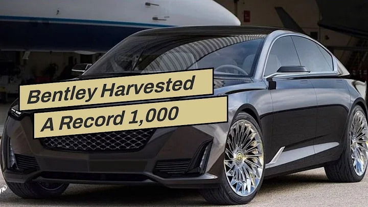 Bentley Harvested A Record 1,000 Jars Of Honey Fro...