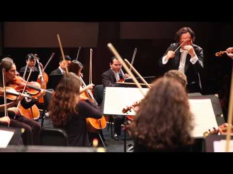 Dream Orchestra Brahms Violin Concerto