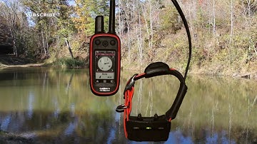 GARMIN ALPHA 100 - HOW TO ADJUST DOG COLLAR LIGHT