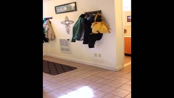 Delphi Properties: "1610 Massachusetts Avenue, Apt. #B3, Cambridge, MA"