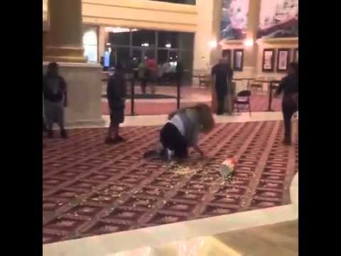 Video About Food Starting With Fat Dog And Lady Video About Food Starting With Fat Dog And Lady