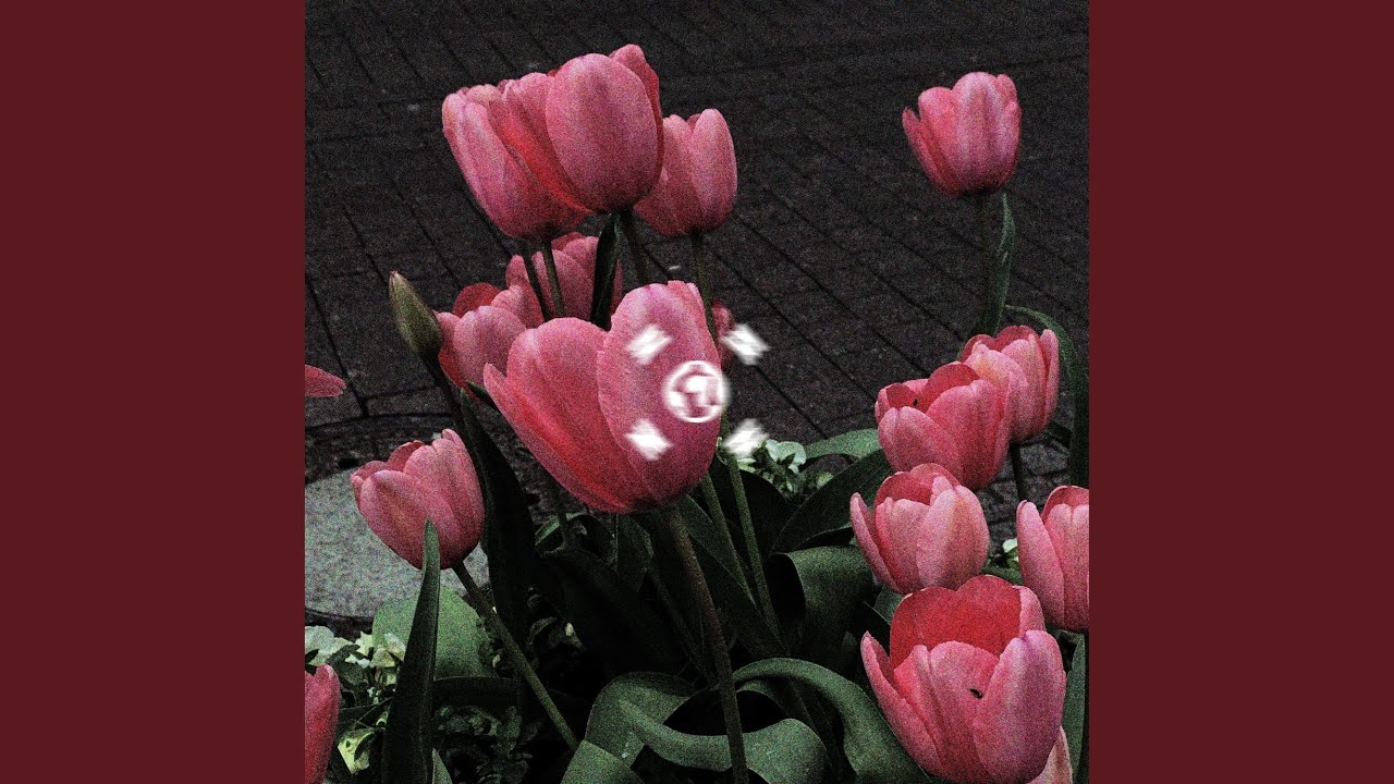 Watch Flowers on YouTube Watch Flowers on YouTube