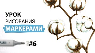 картинка: Как нарисовать веточку хлопка? / Урок по рисованию маркерами для новичков #6