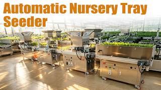 2026 Automatic Nursery Seeding Machine | 200-400 Trays/Hour Seedling Machine Test for Algeria Client