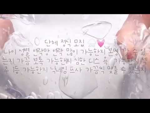 🤍 단체 정식 모집 🤍 단체 정식 추모 단정 모집 단정 추모 단정 구하는 반모방 정식 구해요 정식 구하는 반모방