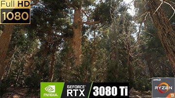 [FULLHD] UNREAL ENGINE 5.1 | REDWOOD FOREST BIOME | NANITE + LUMEN | RTX 3080Ti | Ryzen 9 5900X