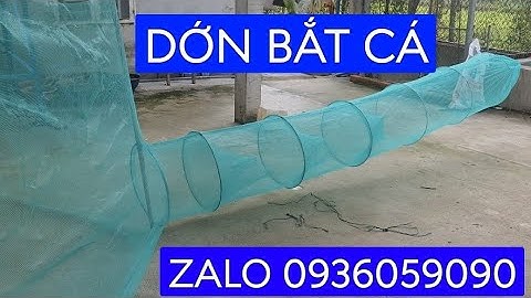 Cung cấp xăm dớn lú bắt cá. Cung cấp xăm dớn chặn sông. Lú dớn bắt cá. Đuôi chuột bắt cá. Dớn sông.