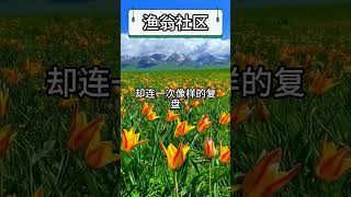 你每天花几个小时盯盘，却连一次像样的复盘都没有做过？ 计划和执行，哪个你更擅长？【第75期】 #比特币最新分析 # 比特币行情分析 #投資 #crypto  #投資 #比特幣 #shorts