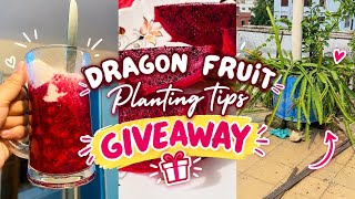 My Dear Subscribers 💕🌸 Gardening Vlog🥹 screenshot 1