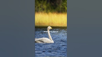 Pov: You open My Camera roll 😮‍💨 #photography #nature #shorts #camera