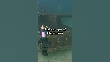 🇹🇭 This is how Thailand is making a Artificial Reef 🤿