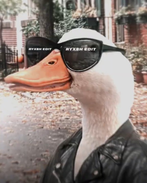 i wish i could walk | 𝙀𝙡𝙖 𝙑𝙞𝙧𝙖 𝙈𝙤𝙧𝙩𝙖𝙡 - 𝘿𝙅 𝙑𝙞𝙡𝙖õ 𝘿𝙎 (𝙎𝙡𝙤𝙬𝙚𝙙) 5𝙭30 | ayxsh edit