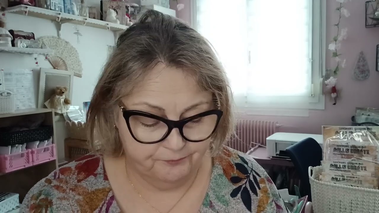 Unboxing #Aall and Create nouveautés Memorydex 