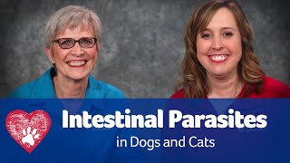 Intestinal Parasites in Dogs and Cats