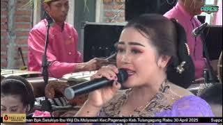 TOMBO KANGEN - WILIS  || TAYUB SETYO PRADONGGO