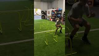 Multi Directional Hurdle Jump Stick