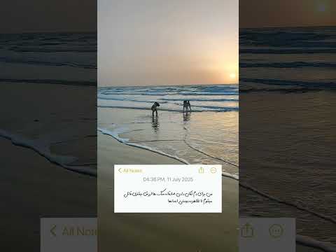 پیدا کردن عشق در سفر غروب سفر بوشهر ایرانگردی
