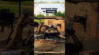 Beauty of Punjab P60 #trending #youtubegrowth #viralvideos #youtubetips #growyoutube #newyoutuber