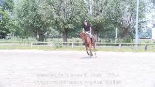 Veronica De Lazerou Z, Dressage Video, Versace Vd Ruitershoeve X Emir Platière, Mare, 2014, Bht