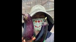 玉川 美沙 たまch たまにはちゃんと Youtube 玉川 美沙 たまch たまにはちゃんと Youtube