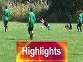 Wood dale vs villa park 2  all goals  highlights