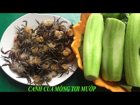 Video Vào Bếp Làm Món Canh Cua, Rau Mồng Tơi Mướp Cực Ngon... - youtube