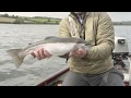 Airflo trout fisherman dvd 2018
