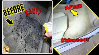 AMAZING Homemade Carpet &amp; Cloth Cleaning Mix in ACTION 10X Better Than Store Bought Carpet Cleaners