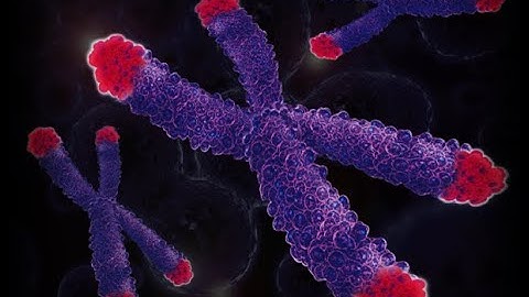 CHROMOSOMAL ABERRATIONS PART 1- FOR SCIENTIFIC OFFICER EXAM AND CSIR- UGC NET