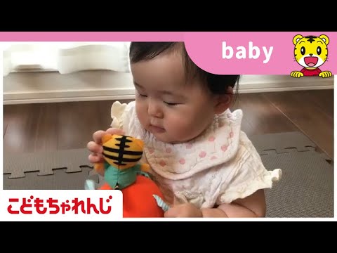 しまじろうチャンネル Youtube しまじろうチャンネル Youtube